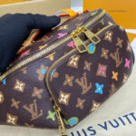 Louis Vuitton Rush Bumbag M24858 Brown